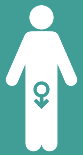 Male powerlessness and an increase of a member