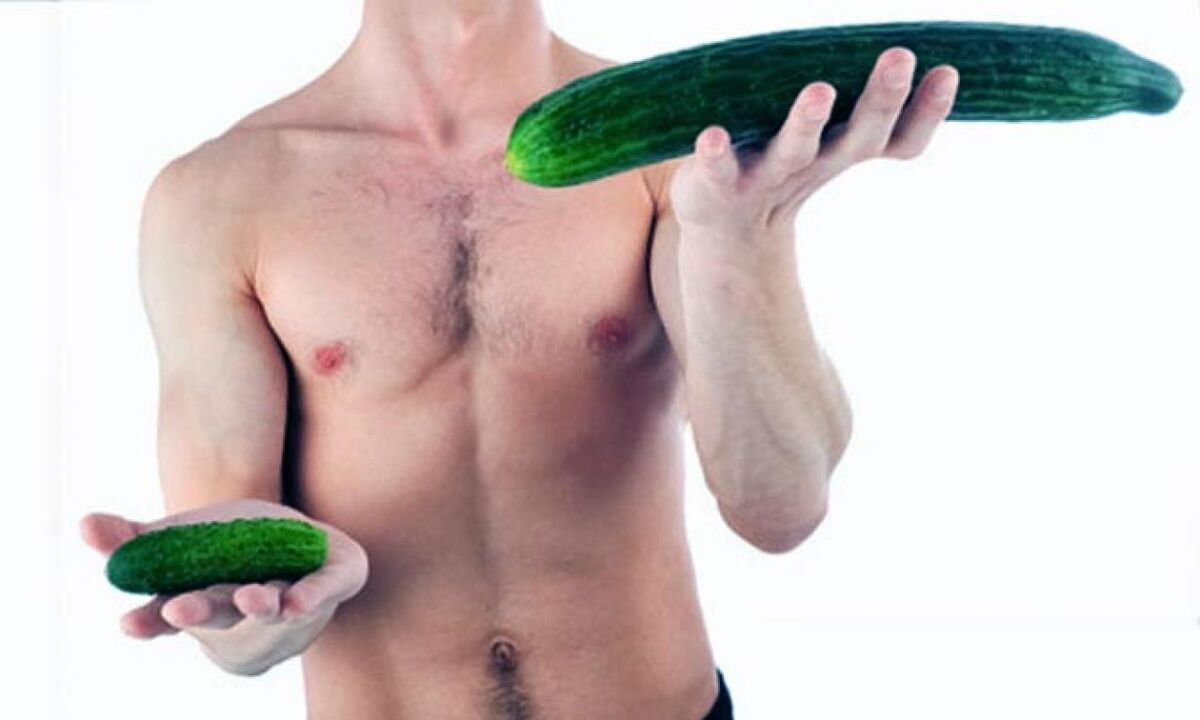 large and small dick size in the example of cucumbers